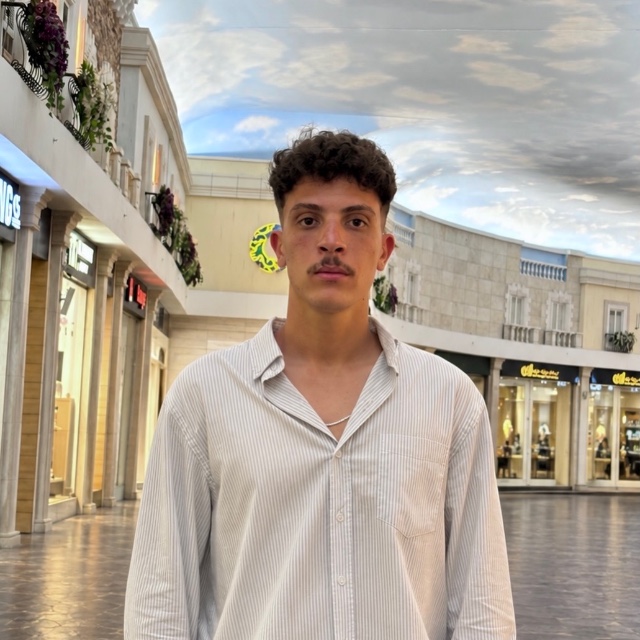 يوسف محمود حبيب